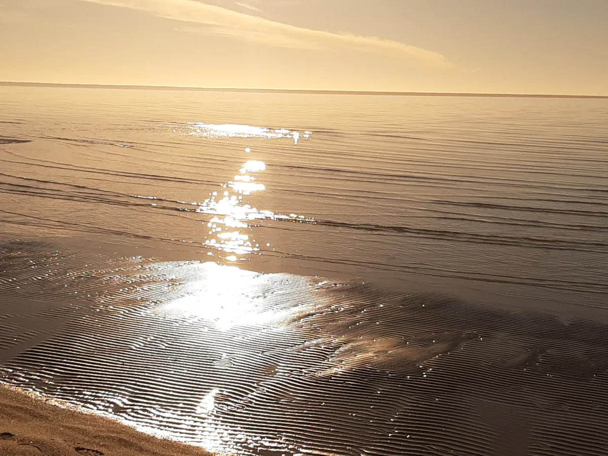 Beach, autumn