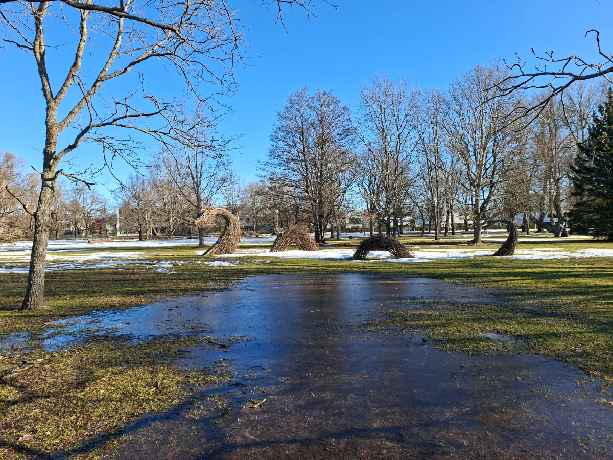 Early spring